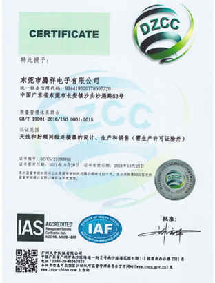 ISO9001 中文版