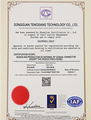 ISO9001 2015英文版